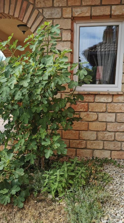Mediterrania Apartment Keszthely Zewnętrze zdjęcie
