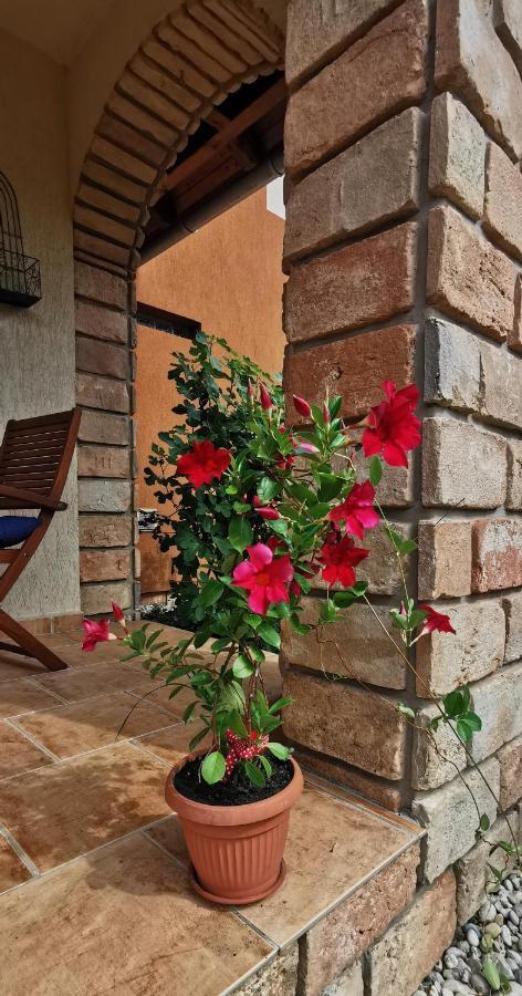 Mediterrania Apartment Keszthely Zewnętrze zdjęcie